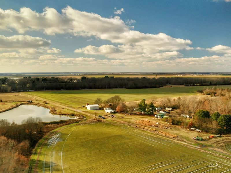 The LawsonTrotter Farm Farm for Sale in Roe, Monroe County, Arkansas