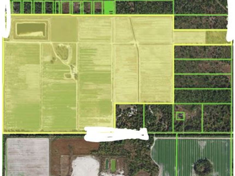 Sod Farm And Nursery For In Estero Lee County Sod Farm And Nursery For In