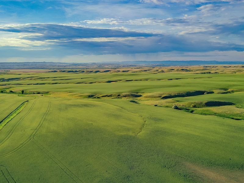 Winter Wheat Farm on Little Bighorn : Hardin : Big Horn County : Montana