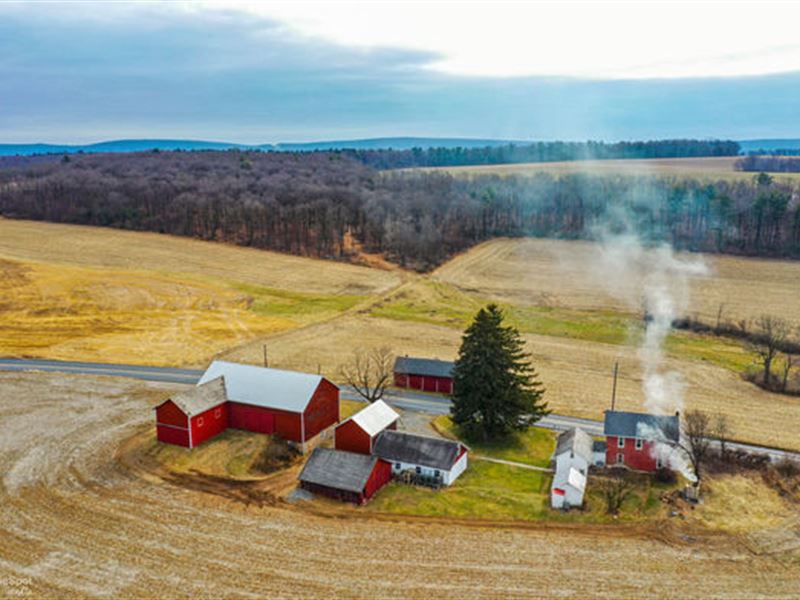 138+ Acres, Farmhouse, Barns Farm Auction in East Penn, Schuylkill