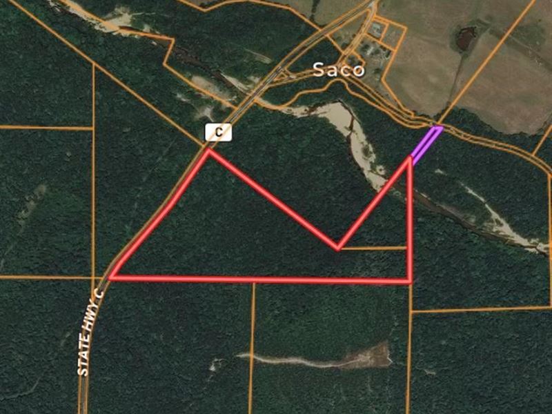 35.67 Acres Woods Twelve Mile Creek, Farm for Sale in Missouri, 232394