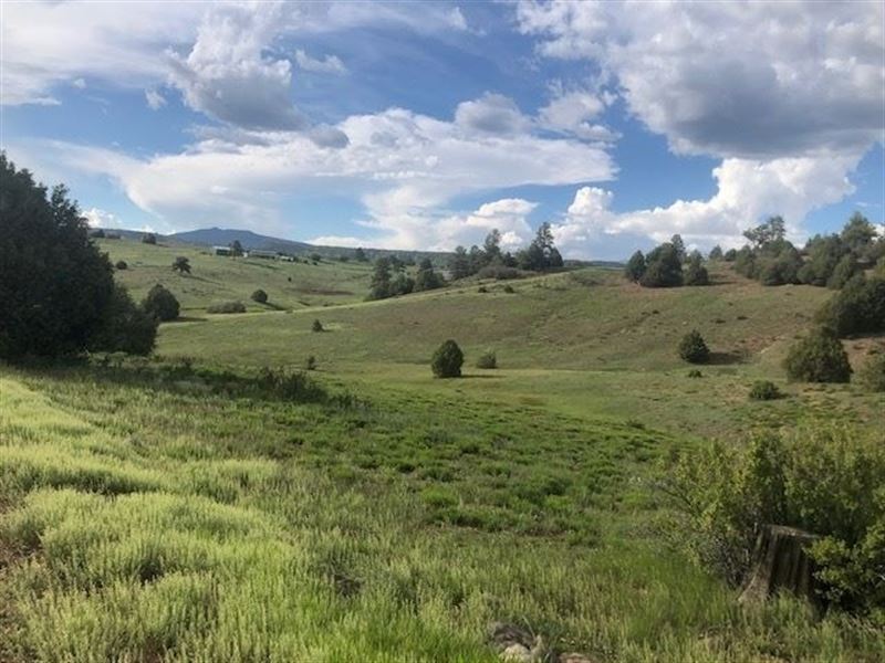 Land Chama West. Northern New Farm for Sale in Chama, Rio Arriba
