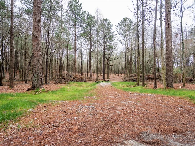 5 Acre Tract in Walton County, Farm for Sale in 232459 FARMFLIP