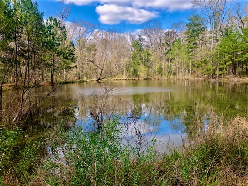 Prime Acreage in Cairo, Ga, Bp Farm for Sale in Cairo, Grady County