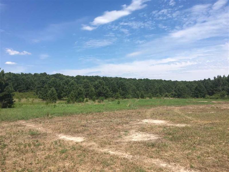 23 Acres in Lumber Bridge, Robe, Farm for Sale in North Carolina