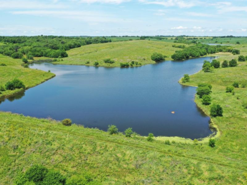 Land Crp Taylor County Southern Farm for Sale in Athelstan, Taylor