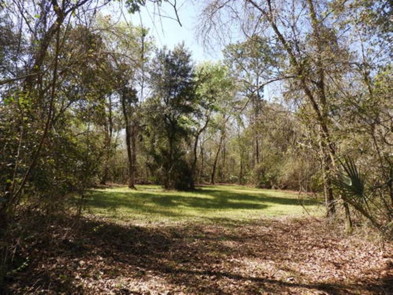 10 Acre Hunting Tract A-612 : Hawthorne : Alachua County : Florida