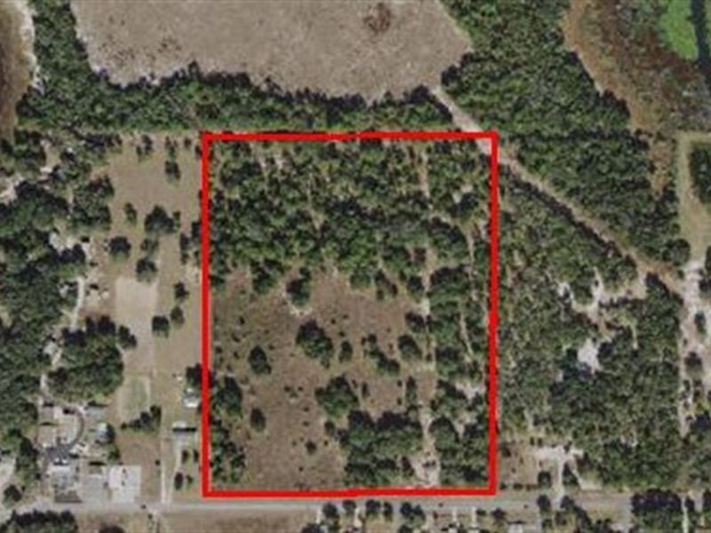 This 30 Acre Mol Property, Krause : Inverness : Citrus County : Florida
