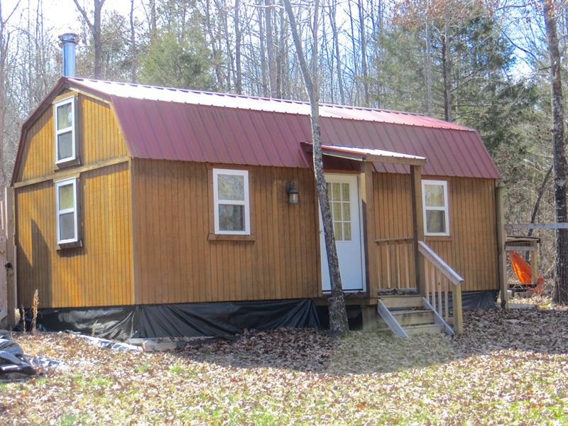 Off-Grid Cabin and 10 Acres : Thayer : Oregon County : Missouri