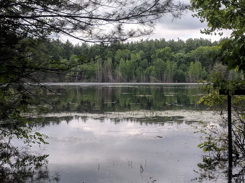 65 Acres, 2 Lake Frontage Hancock Farm for Sale in Hancock, Waushara