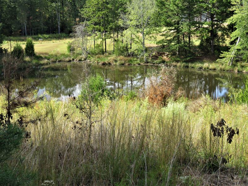 Neely Ferry Residential Tract B, Farm for Sale in South Carolina