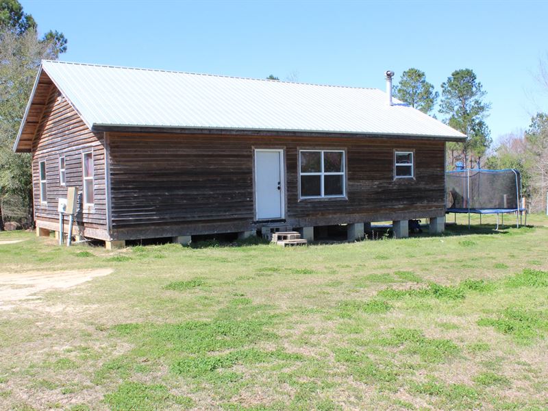 Cabin with Land Near Dothan, AL, Farm for Sale in Alabama, 233425