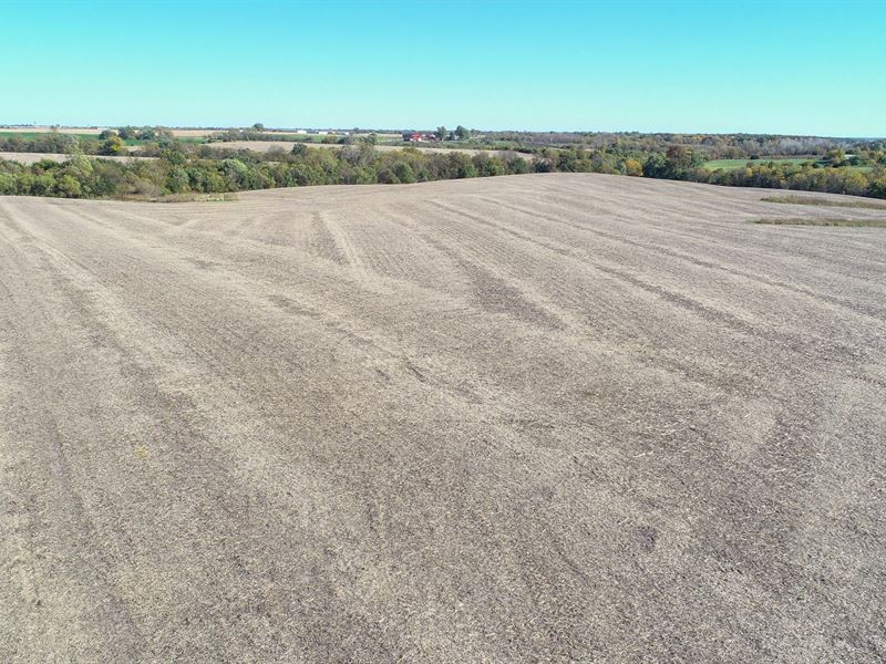 Iowa Investment Ag Land for Sale : Moravia : Appanoose County : Iowa