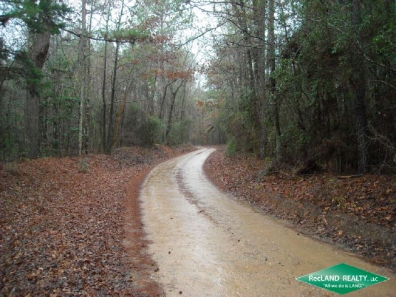 22.6 Ac, Timber Tract with Home Si : Ashland : Natchitoches Parish : Louisiana