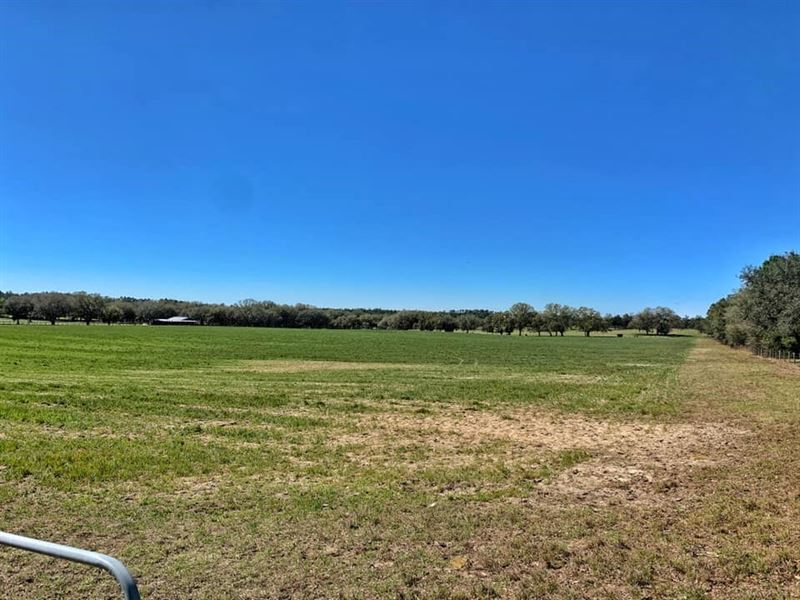 Acreage, Levy County, Williston, Farm for Sale in Florida, 233568