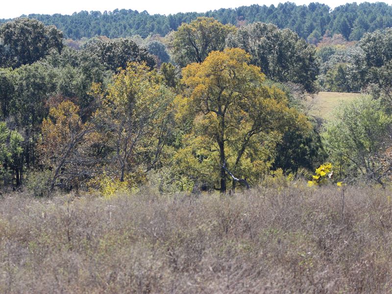 Residential Development Lots Land : Lane : Atoka County : Oklahoma