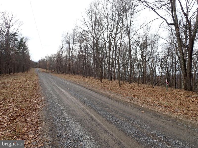 20 Acre Wooded Ridgetop View : Romney : Hampshire County : West Virginia