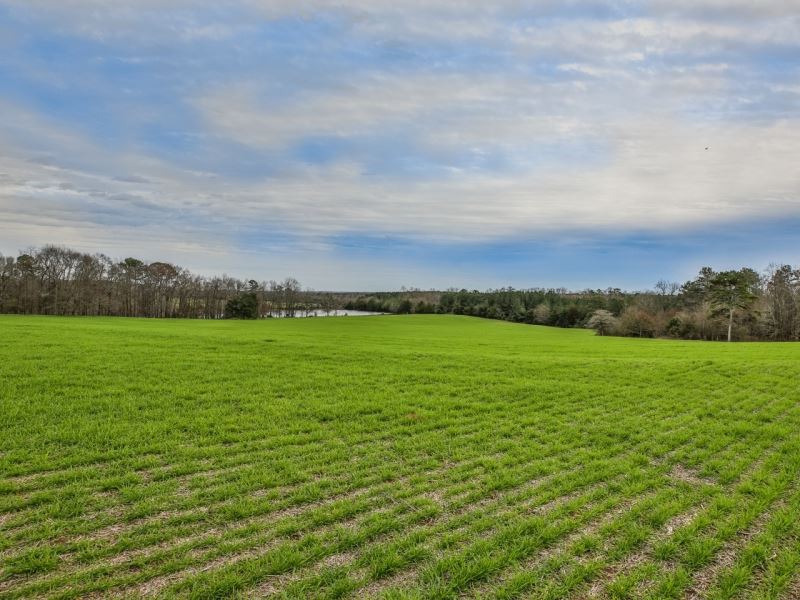 The Farm In The Smithonia CO Farm for Sale in Comer