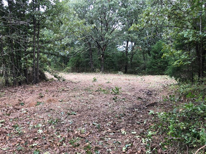 20.25 Acres Mostly Wooded Property Farm for Sale in Salem, Dent