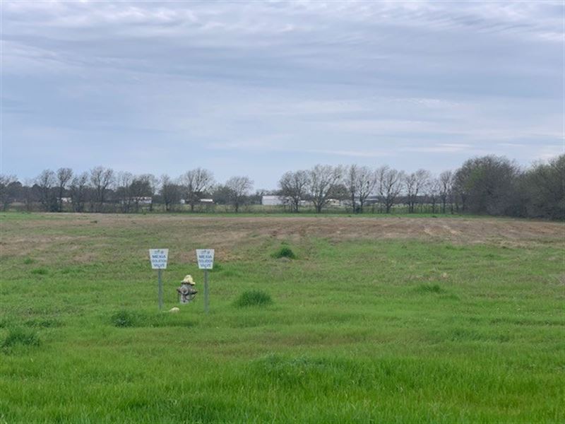 Land Limestone County, Mexia, Texas, Farm for Sale in Texas, 233773