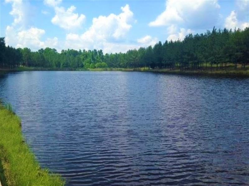 20 Acres on Pond, Farm for Sale in 233841 FARMFLIP