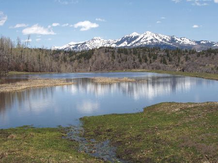 Quinlan Ranch At Chama : Chama : Rio Arriba County : New Mexico