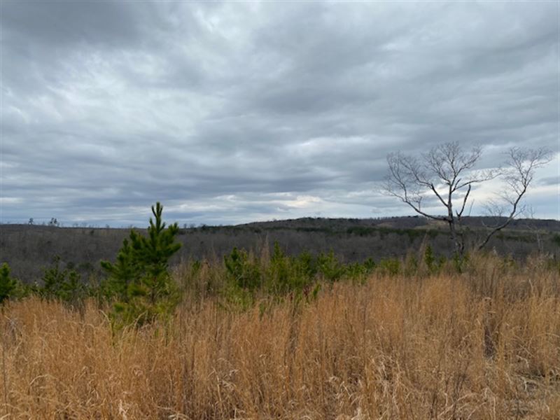 705+/- Acres for Only $528,750 : Tracy City : Marion County : Tennessee
