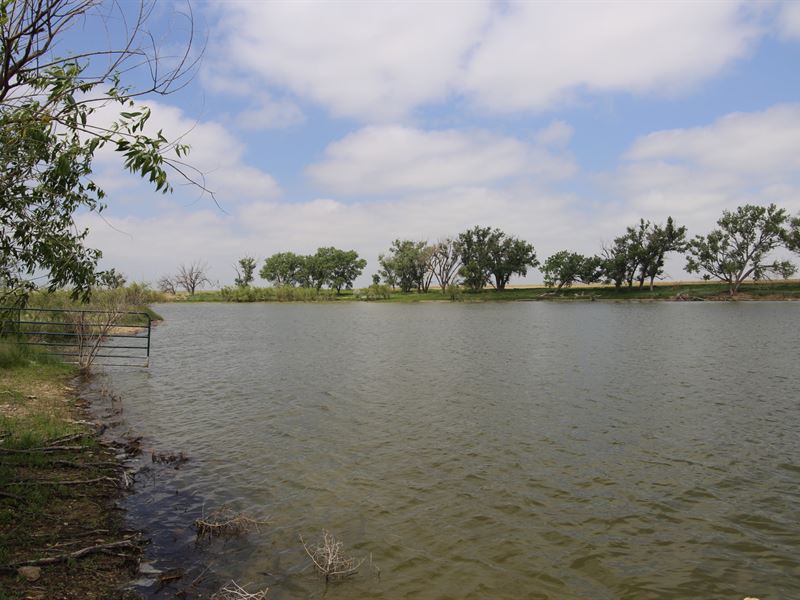 Turks Pond Farm & Hunt : Springfield : Baca County : Colorado