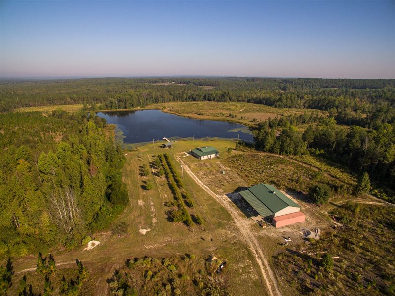 Sandhills Hunting Retreat, Farm for Sale in North Carolina, #233976 : FARMFLIP