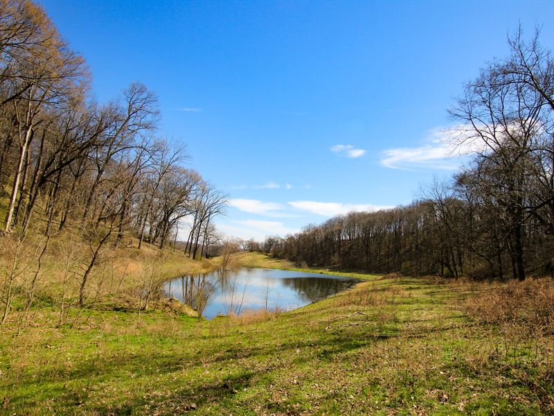 Gorgeous 93 Acre Farm : Columbia : Maury County : Tennessee