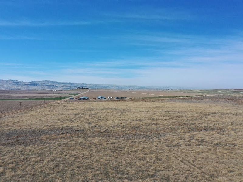 Sky Ranch Road Pasture Land : Nampa : Canyon County : Idaho
