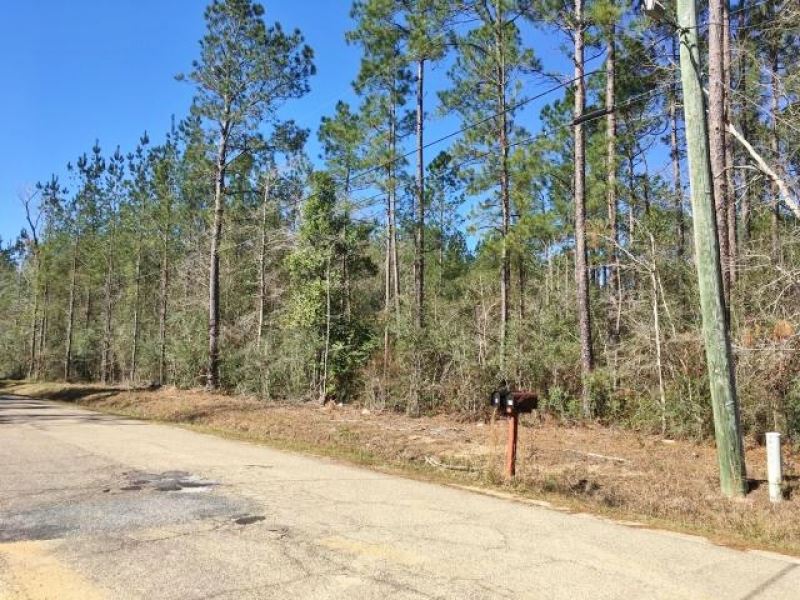 20 Acres Pine Grove Hunting Land &a Farm for Sale in Picayune, Pearl