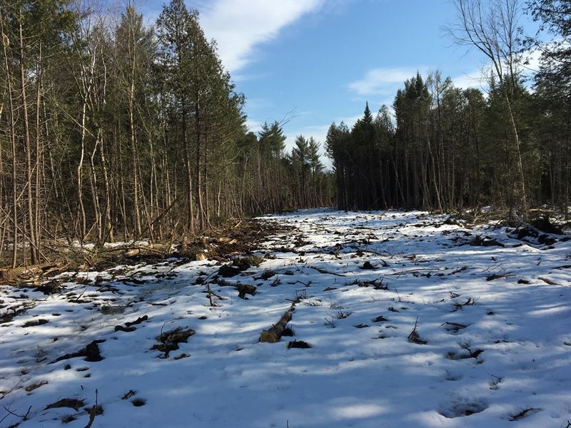 Central Maine Land Well, Septic, Farm for Sale in Maine, 234079 FARMFLIP