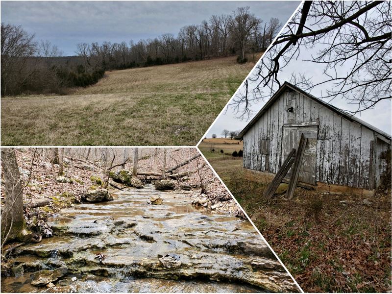 Land for Sale in Ozark County, Farm for Sale in Missouri, 234098