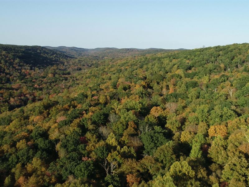 Cimarron Ranch in Putnam, Farm for Sale in New York, 234129 FARMFLIP