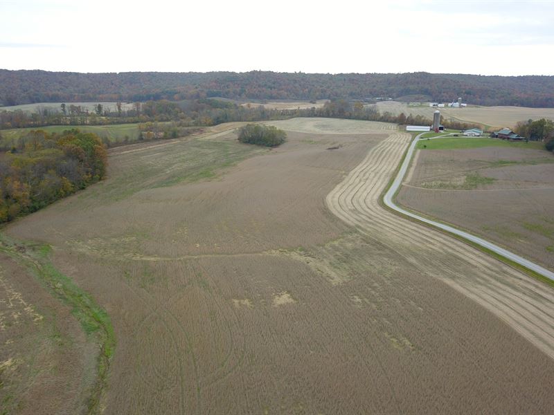 68 Acres Vacant Land : Paint : Pike County : Ohio