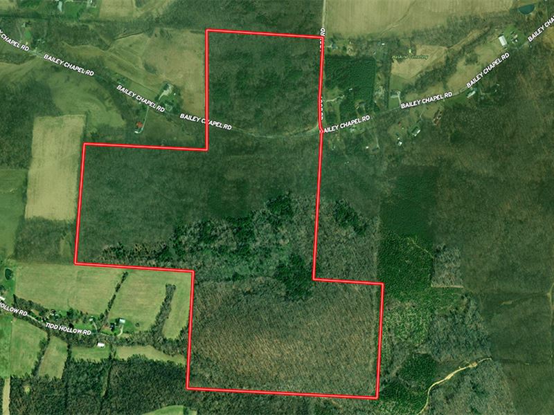 180 Acres Vacant Land : Piketon : Pike County : Ohio
