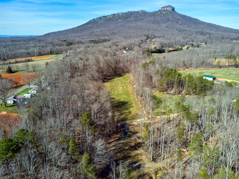 Pinnacle Land For Sale Farm for Sale in Pinnacle, Surry County, North