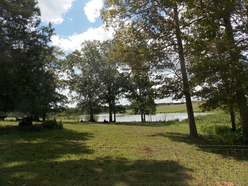 Pine Park Road 16 AC Cairo GA, Farm for Sale in 234602 FARMFLIP