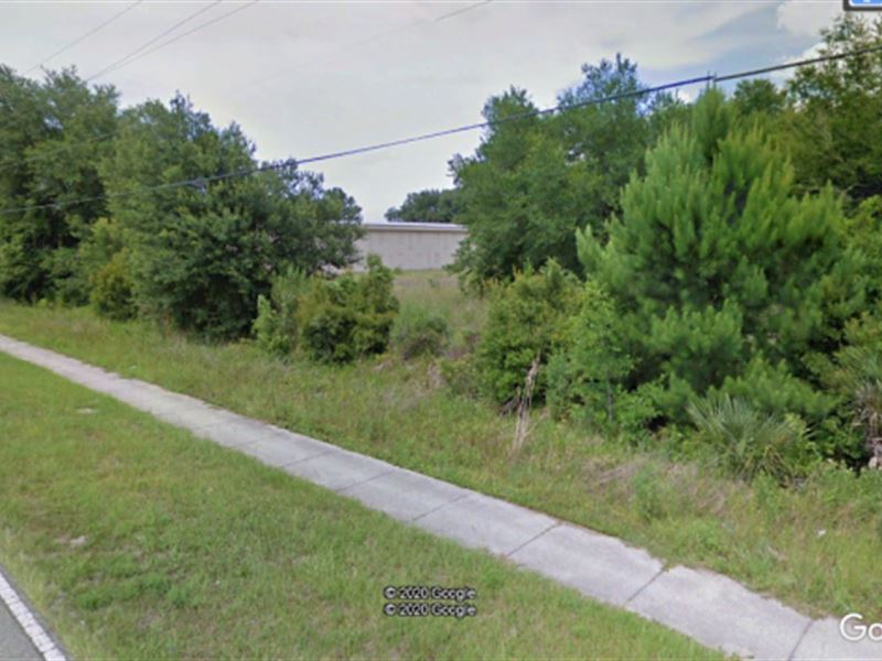 5.15 Acre Land In Putnam Fsbo 43 Farm for Sale by Owner in Palatka, Putnam County, Florida
