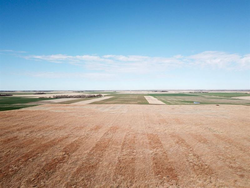 Barton County Rooster Retreat, Farm for Sale in Kansas, 234709 FARMFLIP