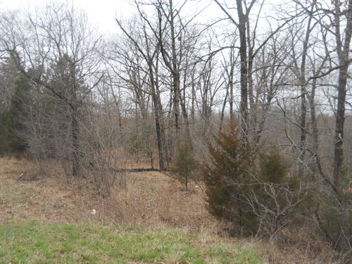 20 Mostly Timbered Acres Right Off : Collins : Saint Clair County : Missouri