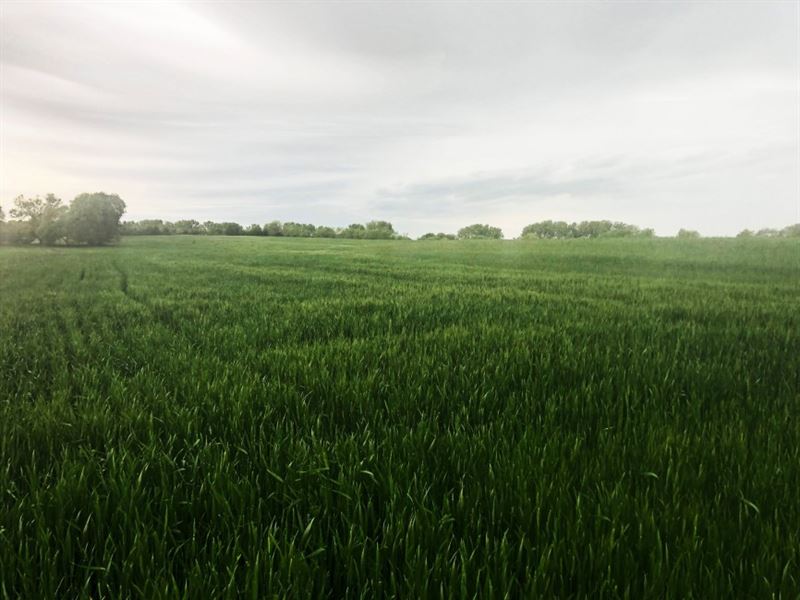 Lincoln Area Acreage Parcel 1, Farm for Sale in Nebraska, 234832