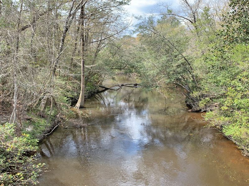 Shoal River Tract, Farm for Sale in Florida, 234855 FARMFLIP