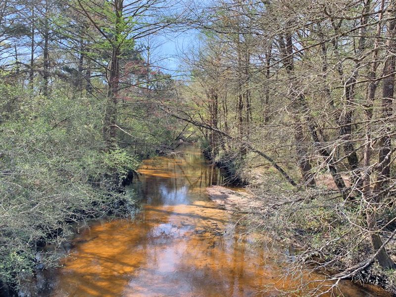 Pond Creek Tract : Laurel Hill : Okaloosa County : Florida