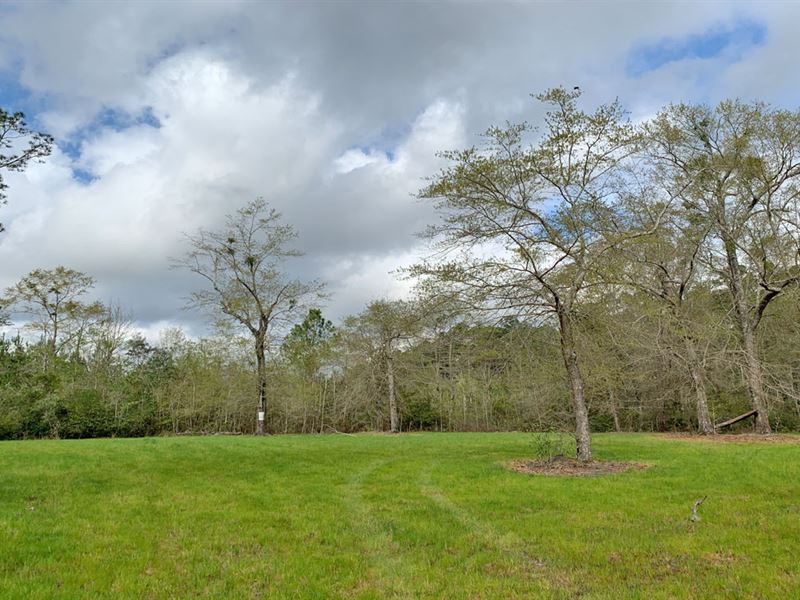 Brickyard Creek Tract, Farm for Sale in Alabama, 234911 FARMFLIP