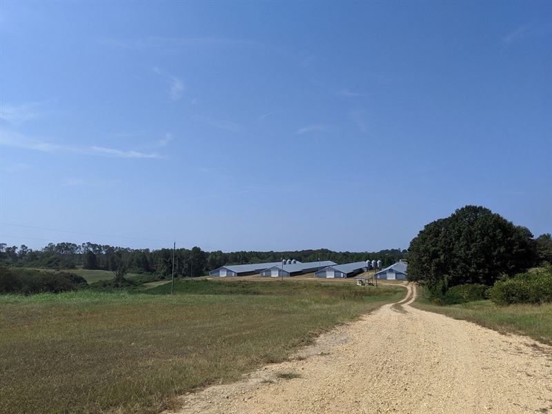 Wiginton Farm : Hackleburg : Marion County : Alabama