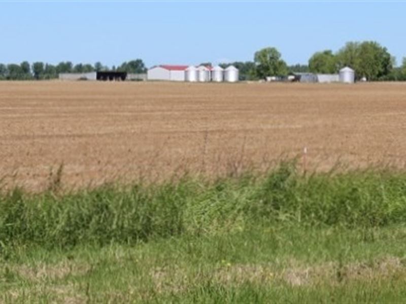 Row Crop Farm Bowie County, Texas Farm for Sale in De Kalb, Bowie