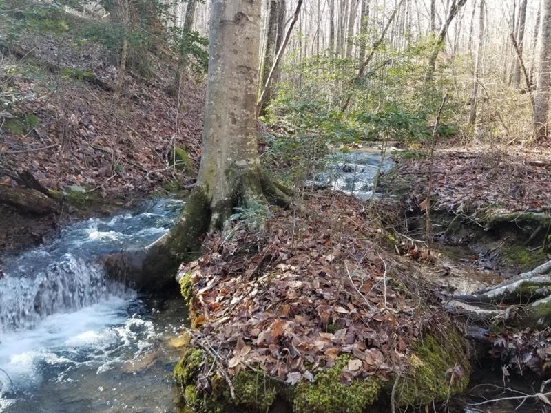 10.4+/- Acres Wooded / Creek : South Pittsburg : Marion County : Tennessee