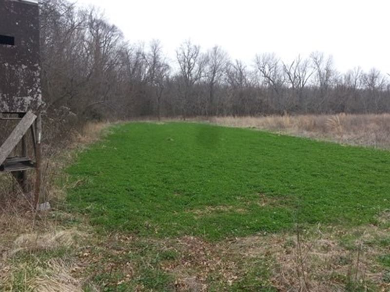 Great Piece Property in Jasper, MO, Farm for Sale in Missouri, 235266